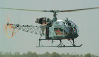 Indian Air Force Logo