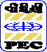 PEC Limited