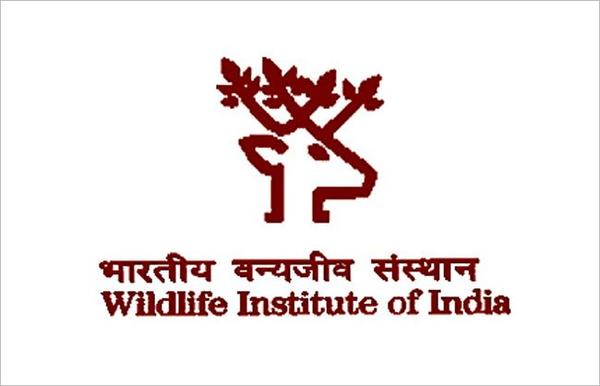Wildlife Institute of India Logo