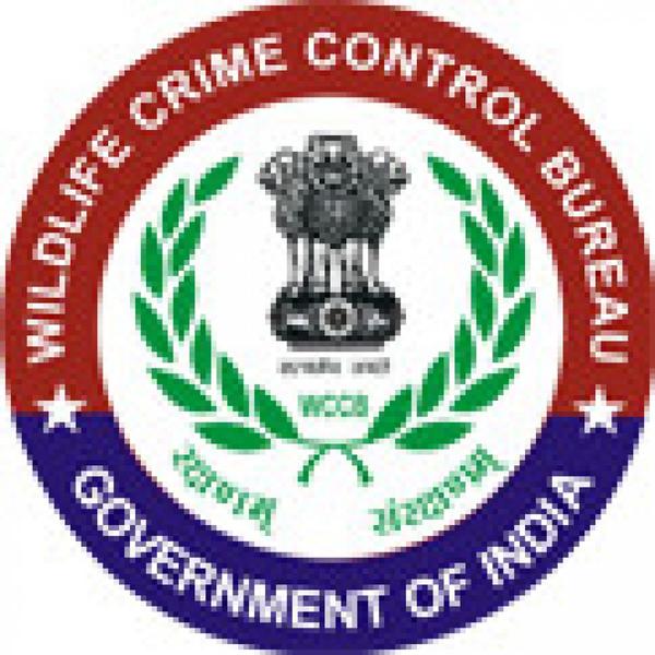 Wildlife Crime Control Bureau Logo